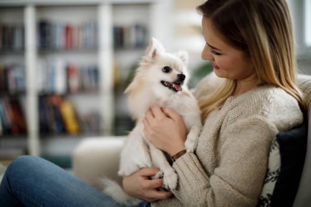 For Your Pet